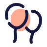 اجاره دکوراسیون